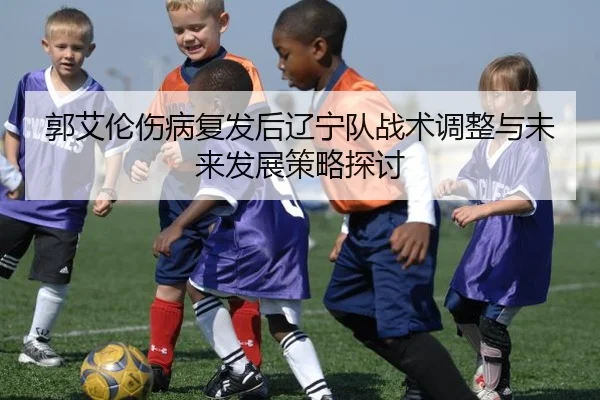 郭艾伦伤病复发后辽宁队战术调整与未来发展策略探讨