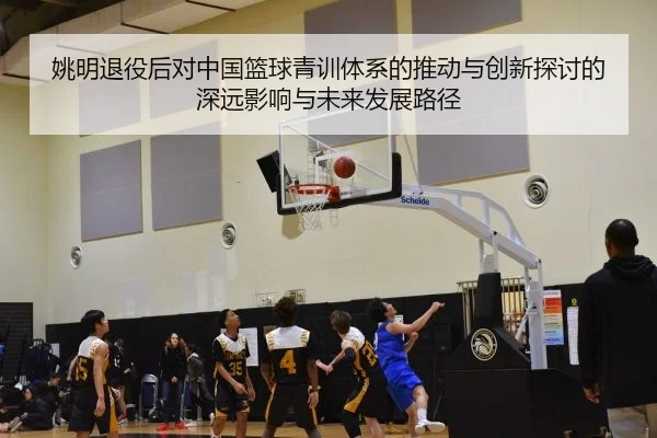 姚明退役后对中国篮球青训体系的推动与创新探讨的深远影响与未来发展路径